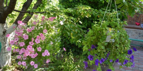 Vertikální záhon pro petúnie - návod na výrobu krok za krokem